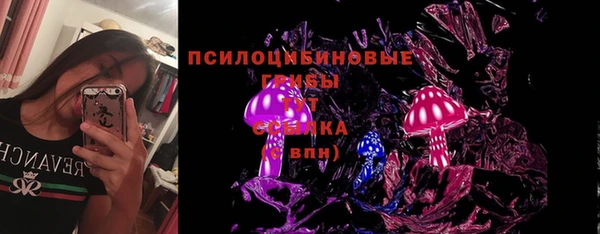 Альфа ПВП Бугульма