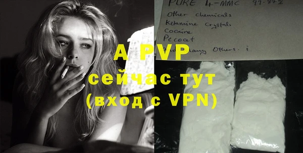mdpv Бородино