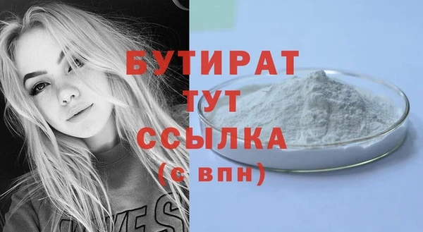 mdpv Бородино